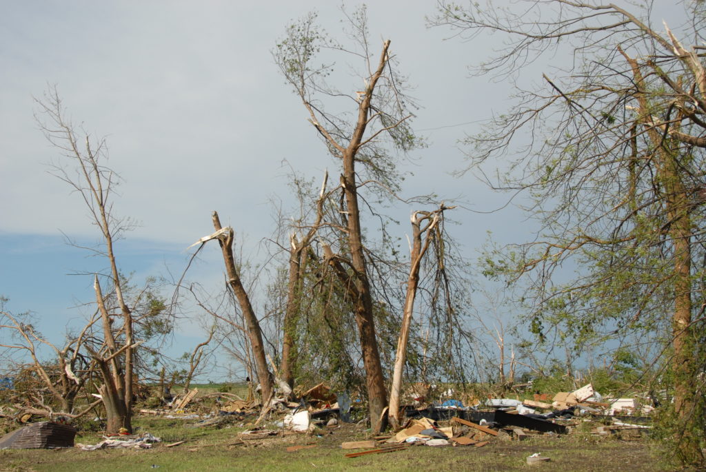 Trees that have been snapped off and broken by a tornado